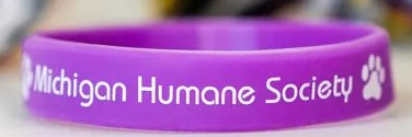 Printed Wristbands example 2
