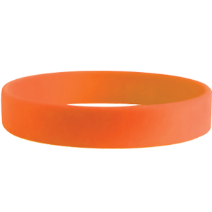 Silicone Wristbands example 2